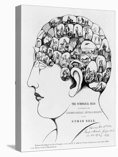 19th-century Phrenology-Library of Congress-Stretched Canvas