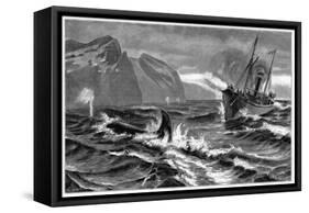 19th Century Whale Hunt-CCI Archives-Framed Stretched Canvas