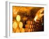 19th Century Wine Cellar, Juanico Winery, Uruguay-Stuart Westmoreland-Framed Photographic Print