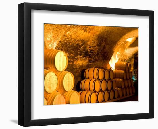 19th Century Wine Cellar, Juanico Winery, Uruguay-Stuart Westmoreland-Framed Photographic Print