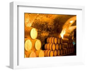19th Century Wine Cellar, Juanico Winery, Uruguay-Stuart Westmoreland-Framed Photographic Print