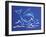 1CO-Pierre Henri Matisse-Framed Giclee Print