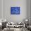 1CO-Pierre Henri Matisse-Giclee Print displayed on a wall