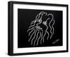 1G-Pierre Henri Matisse-Framed Giclee Print