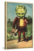 1st Premium Cabbage Head Trade Card-null-Stretched Canvas