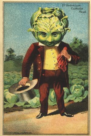 https://imgc.allpostersimages.com/img/posters/1st-premium-cabbage-head-trade-card_u-L-Q1I6GN70.jpg?artPerspective=n