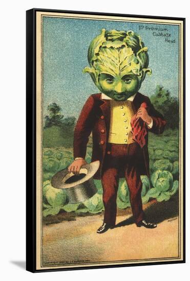 1st Premium Cabbage Head Trade Card-null-Framed Stretched Canvas