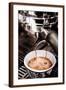 Chelsea Espresso