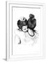 Gramercy White