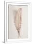 Gramercy White