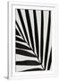 Gramercy White