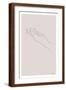 Brown Frame