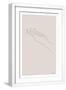 White Frame