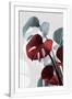 Gramercy White