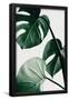 Essential Black
