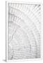Gramercy White