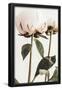 Essential Black