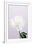 Gramercy White