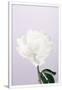 Gramercy White