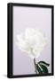 Essential Black