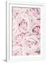 Gramercy White