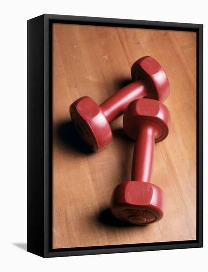 2.5 lb. Weights-null-Framed Stretched Canvas