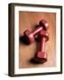 2.5 lb. Weights-null-Framed Photographic Print