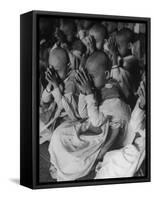 2,700 Burmese Boys Becoming Monks in "The Cave" After Place of First Buddhist Synod-John Dominis-Framed Stretched Canvas