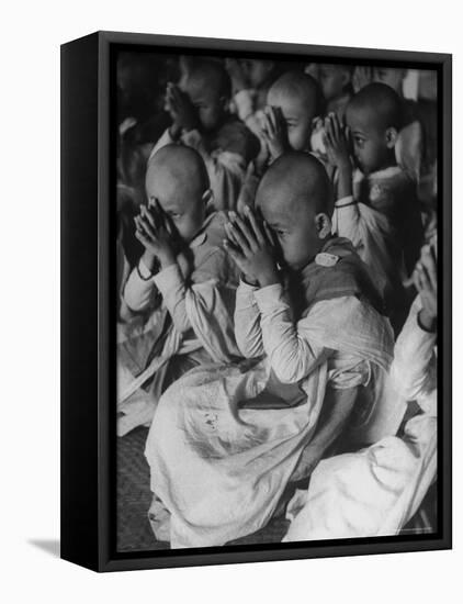 2,700 Burmese Boys Becoming Monks in "The Cave" After Place of First Buddhist Synod-John Dominis-Framed Stretched Canvas