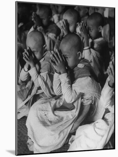 2,700 Burmese Boys Becoming Monks in "The Cave" After Place of First Buddhist Synod-John Dominis-Mounted Photographic Print