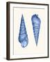 2 Blue Shells a-Fab Funky-Framed Art Print