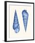 2 Blue Shells a-Fab Funky-Framed Art Print