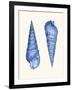 2 Blue Shells a-Fab Funky-Framed Art Print