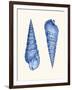 2 Blue Shells a-Fab Funky-Framed Art Print