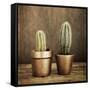 2 Cacti on Brown Texture-Tom Quartermaine-Framed Stretched Canvas