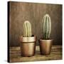 2 Cacti on Brown Texture-Tom Quartermaine-Stretched Canvas