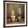 2 Cacti on Brown Texture-Tom Quartermaine-Framed Giclee Print