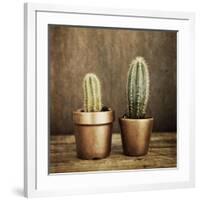 2 Cacti on Brown Texture-Tom Quartermaine-Framed Giclee Print