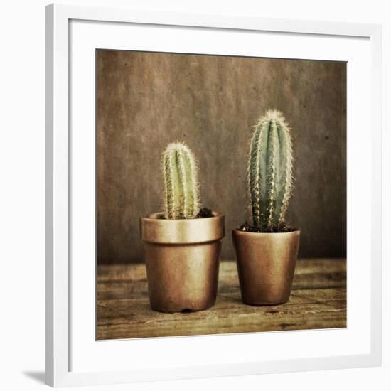 2 Cacti on Brown Texture-Tom Quartermaine-Framed Giclee Print