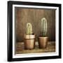 2 Cacti on Brown Texture-Tom Quartermaine-Framed Giclee Print