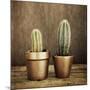 2 Cacti on Brown Texture-Tom Quartermaine-Mounted Giclee Print