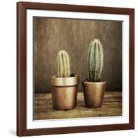 2 Cacti on Brown Texture-Tom Quartermaine-Framed Giclee Print