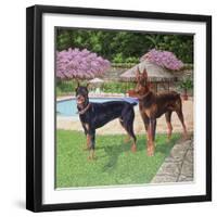 2 Doberman Pinchers-Eduardo Camoes-Framed Giclee Print