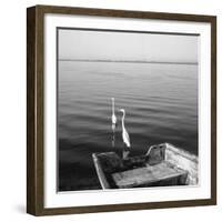 2 Herons Leaving-Moises Levy-Framed Photographic Print