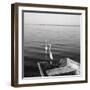 2 Herons Leaving-Moises Levy-Framed Photographic Print