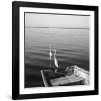 2 Herons Leaving-Moises Levy-Framed Photographic Print