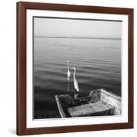 2 Herons Leaving-Moises Levy-Framed Photographic Print