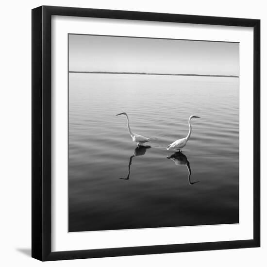 2 Herons-Moises Levy-Framed Premium Photographic Print