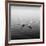 2 Herons-Moises Levy-Framed Photographic Print