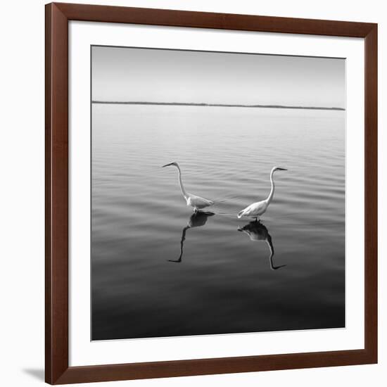 2 Herons-Moises Levy-Framed Photographic Print